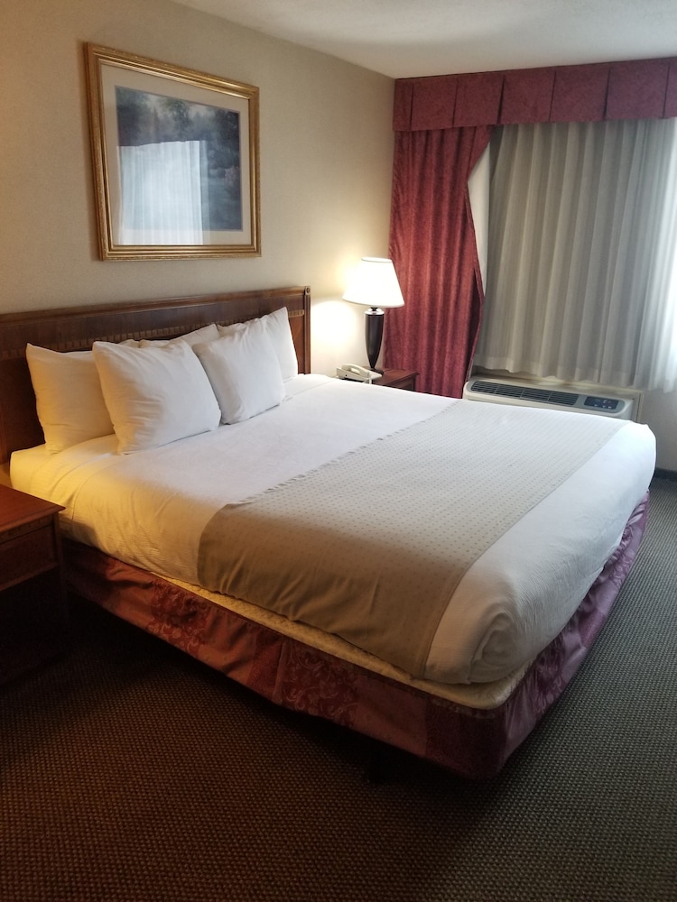 Room, 1 King Bed, Courtyard View - Photo 4