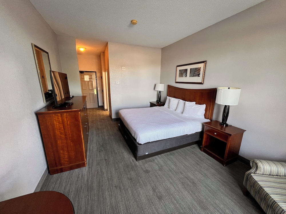 Deluxe Studio Suite, 1 King Bed, Non Smoking photo 3