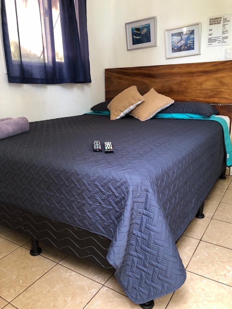 Suite 5