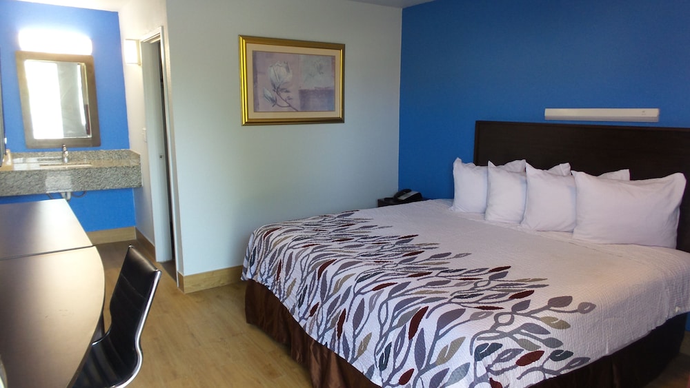 Comfort Single Room, 1 King Bed, Smoking photo 3