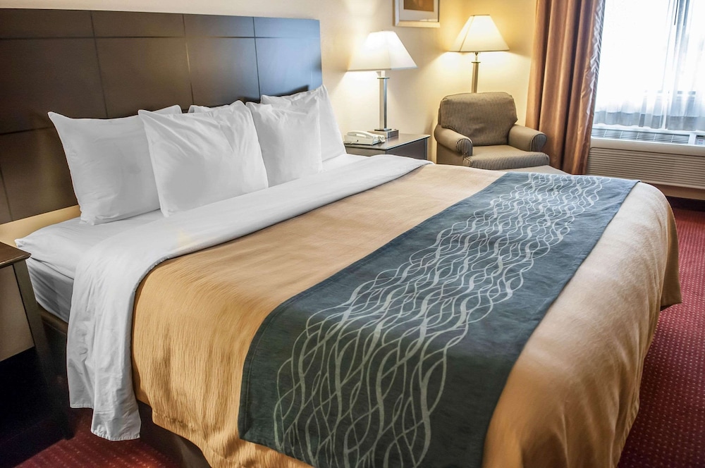 Standard Room, 1 King Bed, Non Smoking (First Floor) - Photo 4