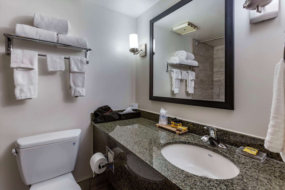 Suite, 1 King Bed, Accessible, Bathtub (with Sofabed)