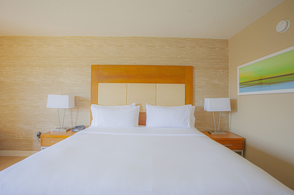 Suite, 1 Queen Bed - Photo 3