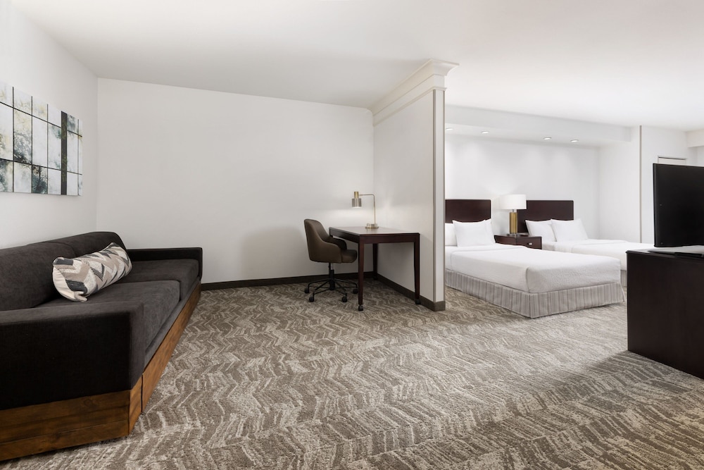 Suite - Photo 6