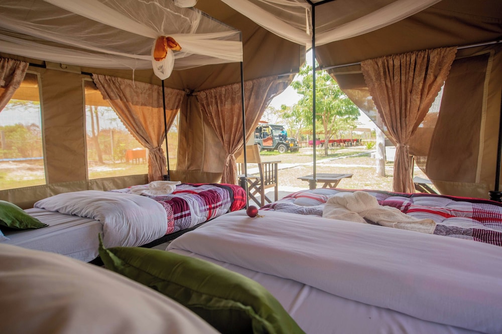 Twin Tents