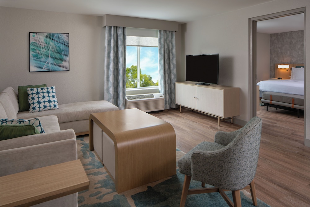 One Bedroom Suite, One King Bed