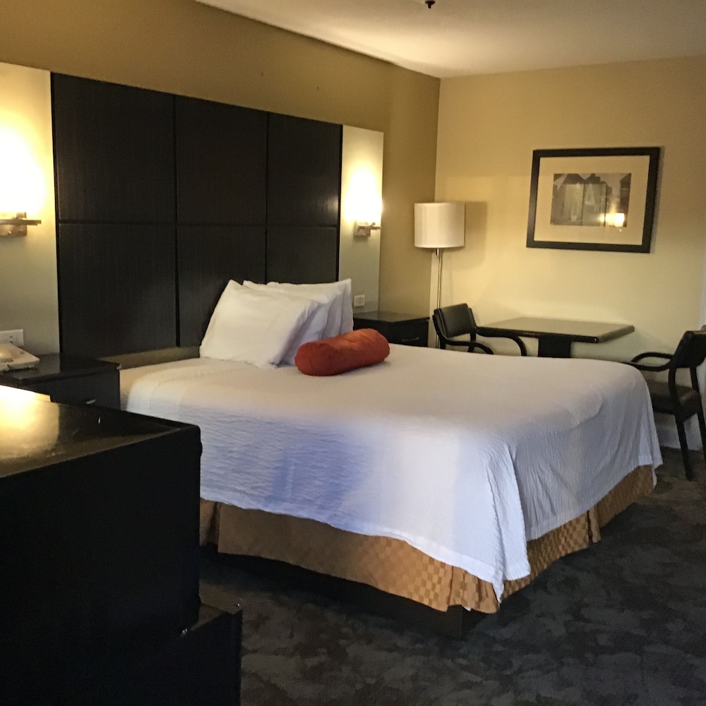 Room, 1 King Bed, Non Smoking, Jetted Tub