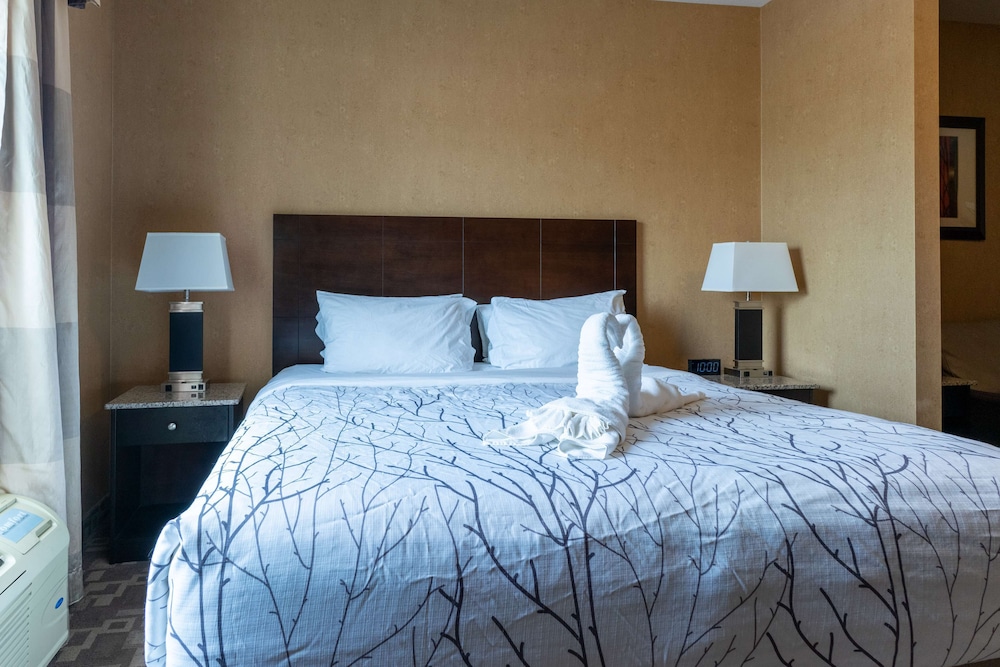 Executive Suite, 1 King Bed, Non Smoking, Refrigerator & Microwave (with Sofabed) - Photo 1