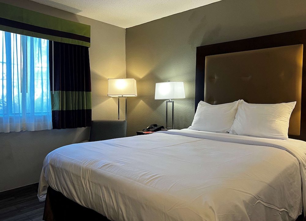 Standard Room, 1 King Bed, Non Smoking - Photo 8