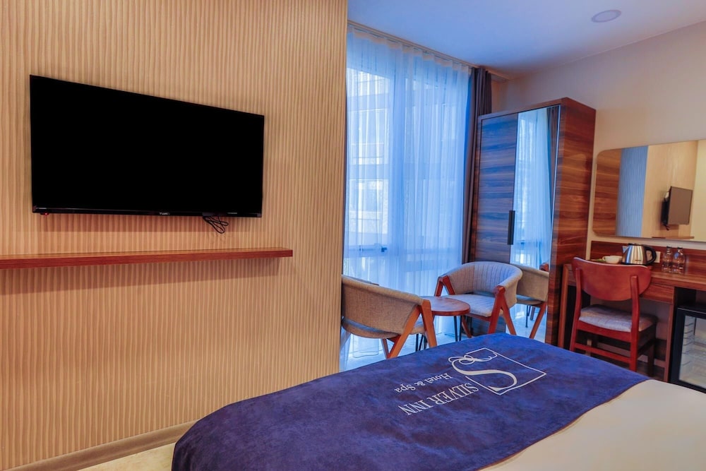 Family Room, 1 Bedroom, City View photo 3