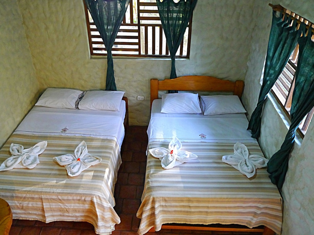 Twin Room, Garden View photo 2