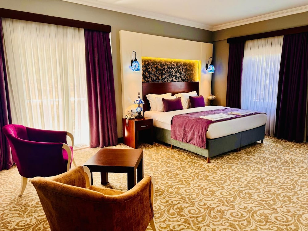 Deluxe Double Room, 1 Bedroom, Non Smoking photo 3