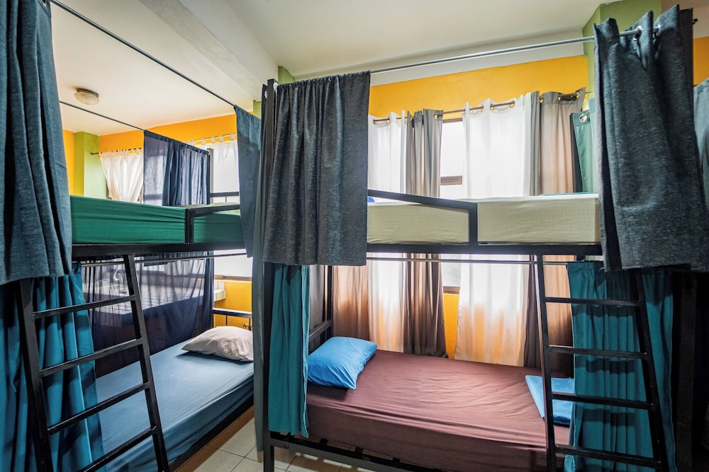 Classic Shared Dormitory photo 3