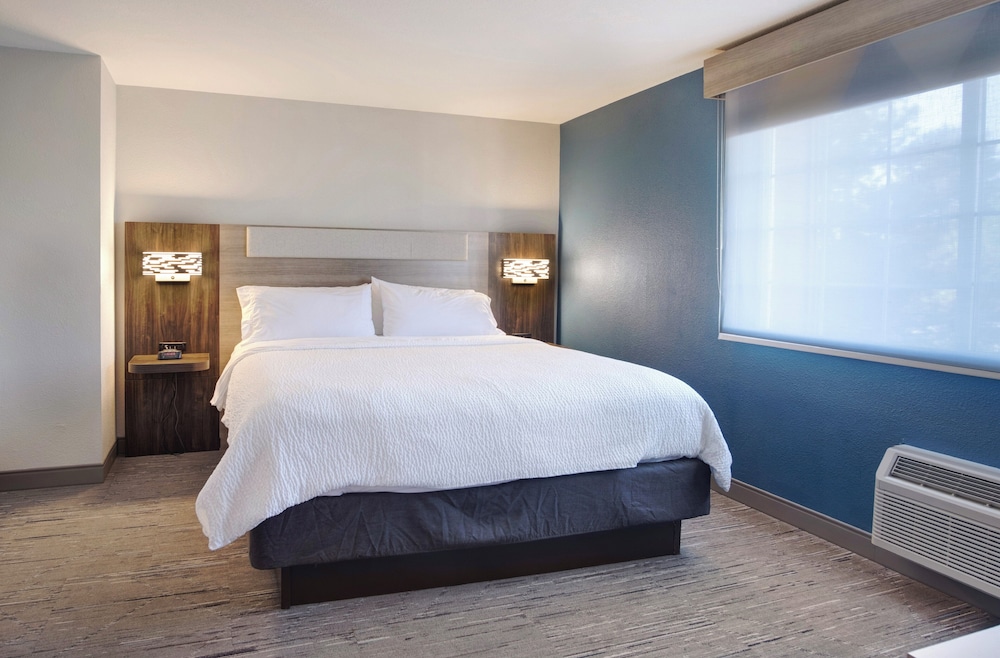 Suite, 1 Bedroom - Photo 8