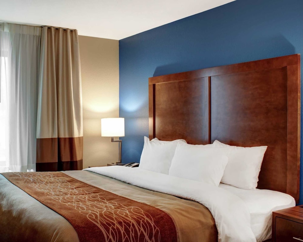 Suite, 1 King Bed with Sofa bed, Non Smoking