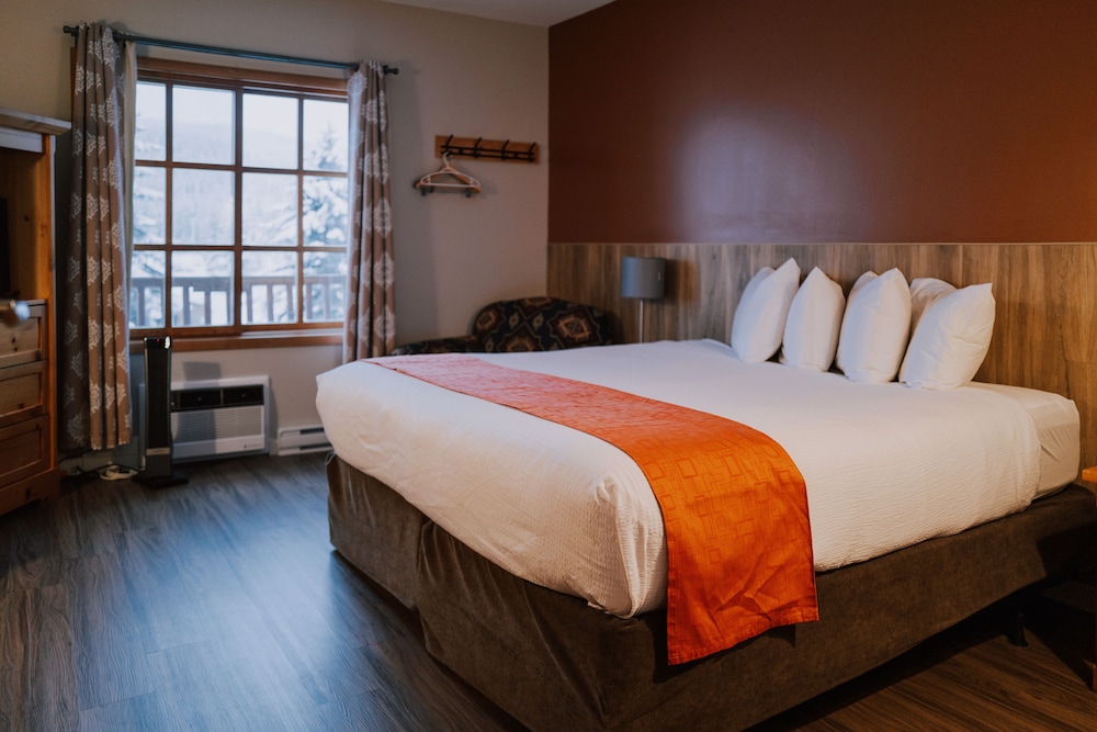Economy Room, 1 King Bed (Not Pet Friendly)