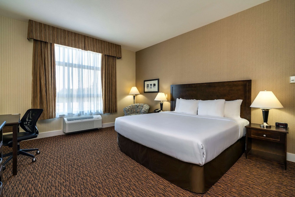 Suite, 1 King Bed, Non Smoking - Photo 1