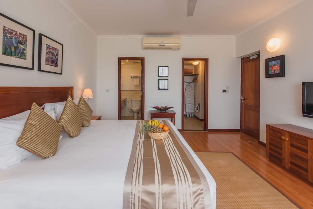 Comfort Apartment, 1 King Bed, Kitchen