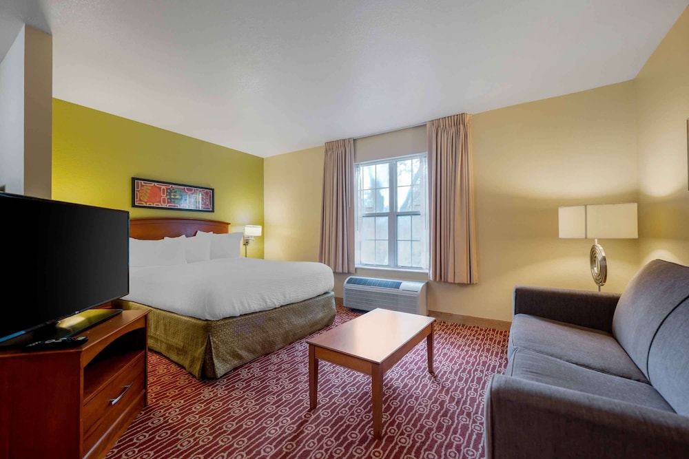 Deluxe Studio, 1 Queen Bed, Non Smoking, Refrigerator & Microwave - Photo 1