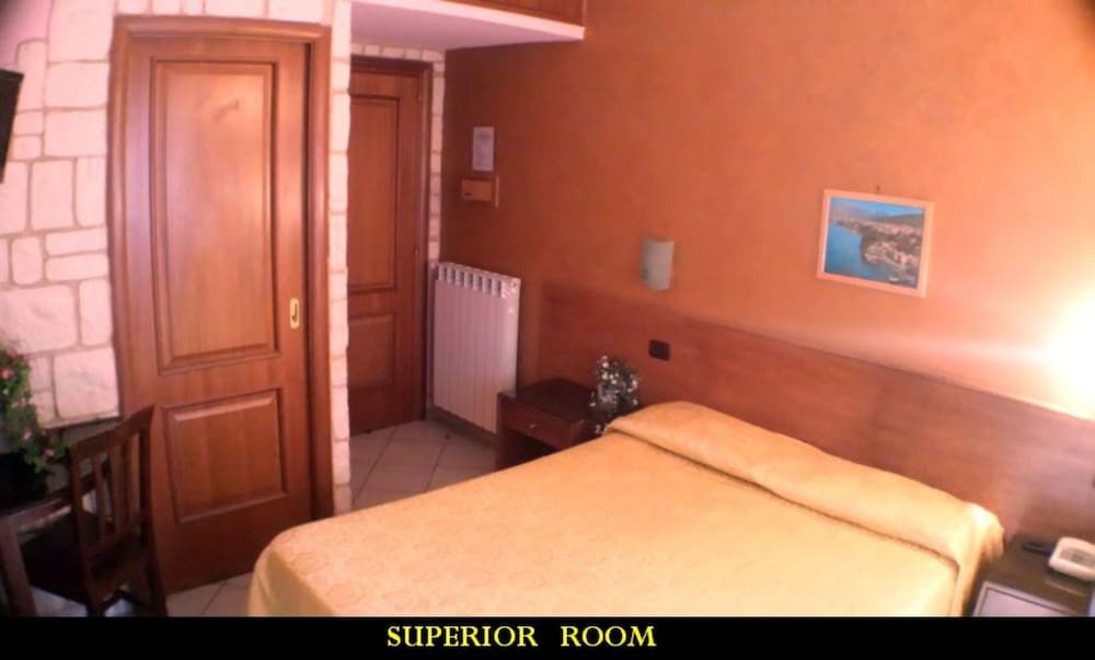 Deluxe Double Room Single Use, Private Bathroom photo 2