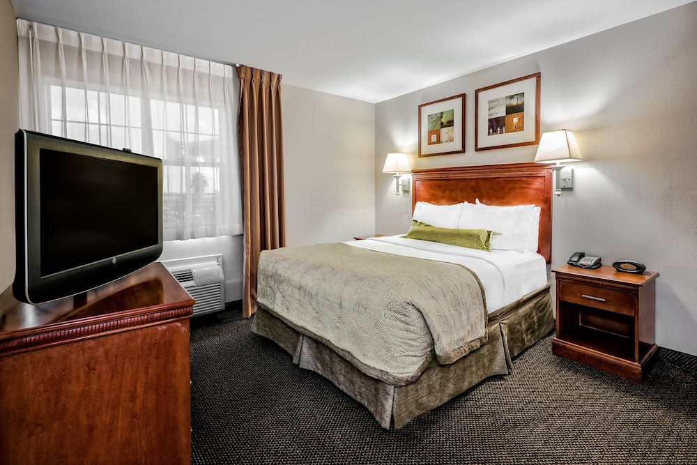 Suite, 1 Bedroom - Photo 4