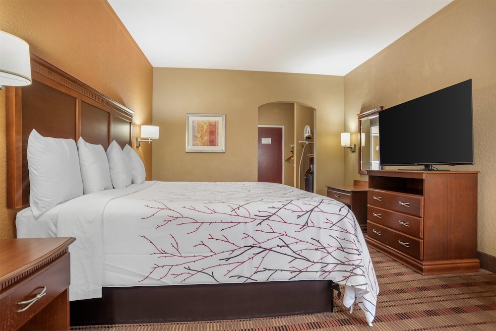 Standard Room, 1 King Bed, Non Smoking, Refrigerator & Microwave photo 3