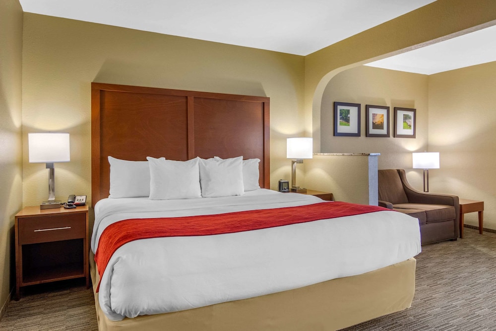 Suite, 1 King Bed, Non Smoking photo 1