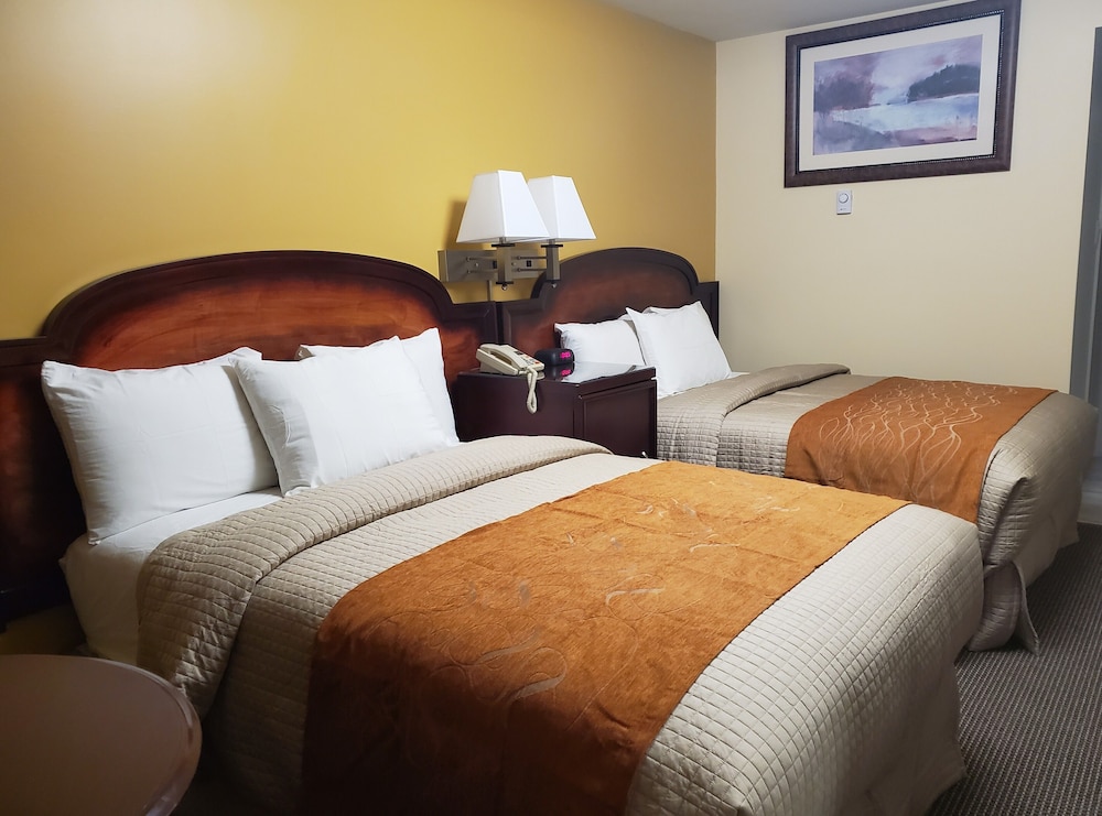 Room with 2 Double Beds Non Smoking Double Occupancy Rate: $10 extra for 3rd and 4th person photo 2