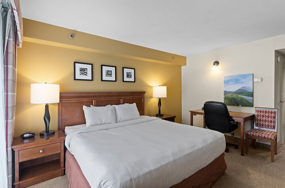 Suite, 1 Bedroom, Non Smoking - Photo 4