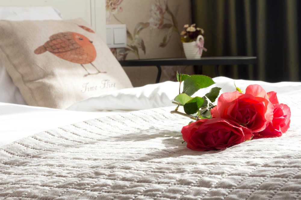 1 Bedroom Apartment in the City Center | AC | Lift
