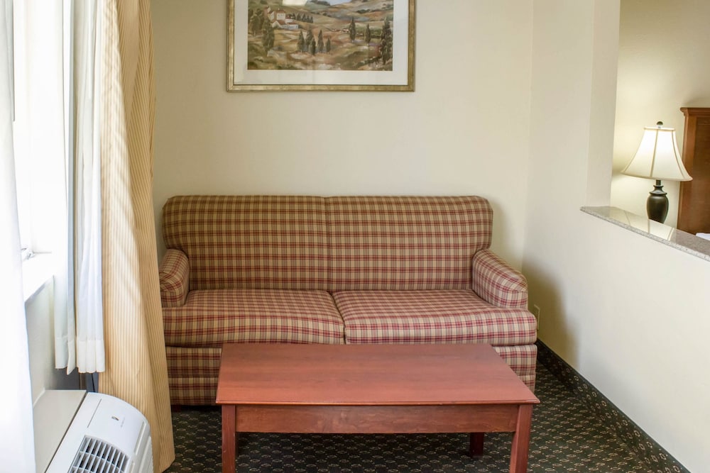 Suite, 1 King Bed with Sofa bed, Non Smoking photo 3