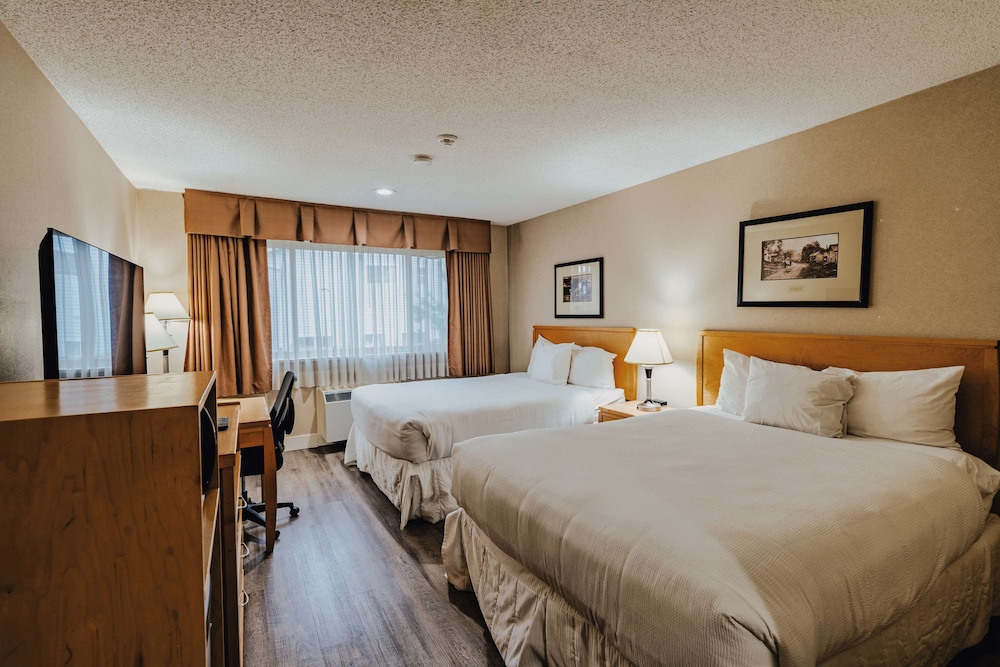 Standard Room, 2 Queen Beds, Non Smoking, Refrigerator & Microwave (Pet Friendly) - Photo 8