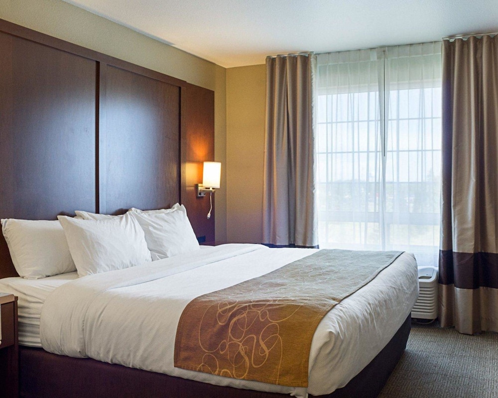 Suite photo 3