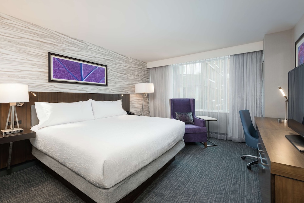 Room, 1 King Bed (Small)