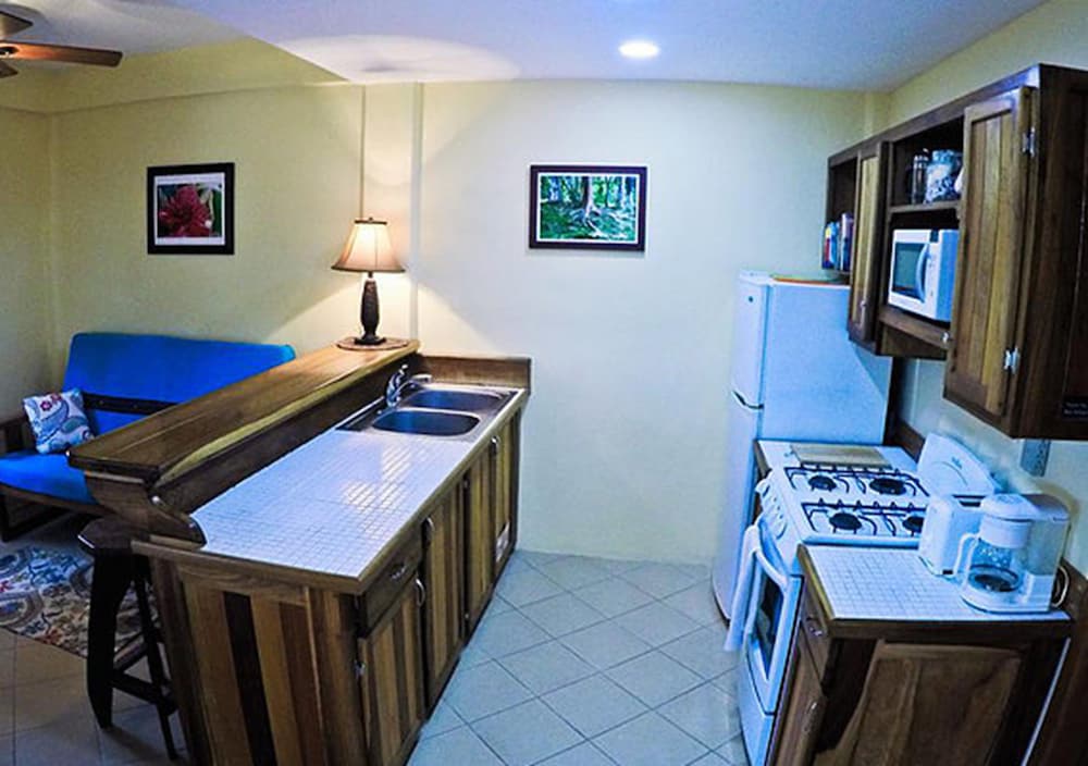 Economy Apartment, 1 Queen Bed, Kitchen (Canal Front) photo 3