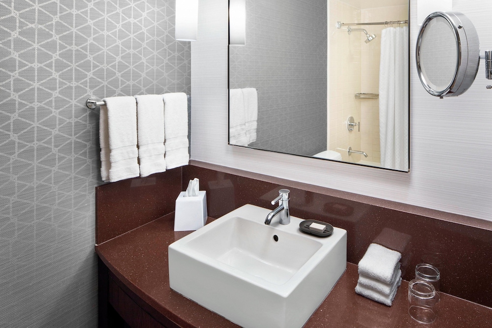 Classic Room, 1 King Bed (Mobility/Hearing Access, Roll-in Shwr) - Photo 9
