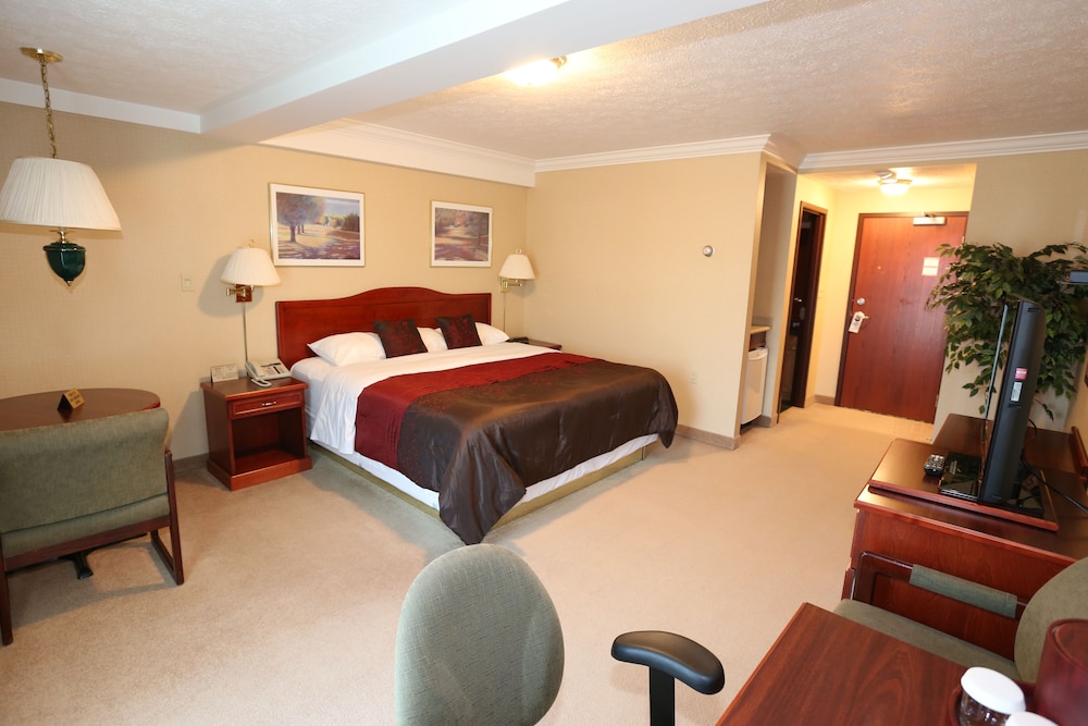 Luxury Suite (King) photo 1