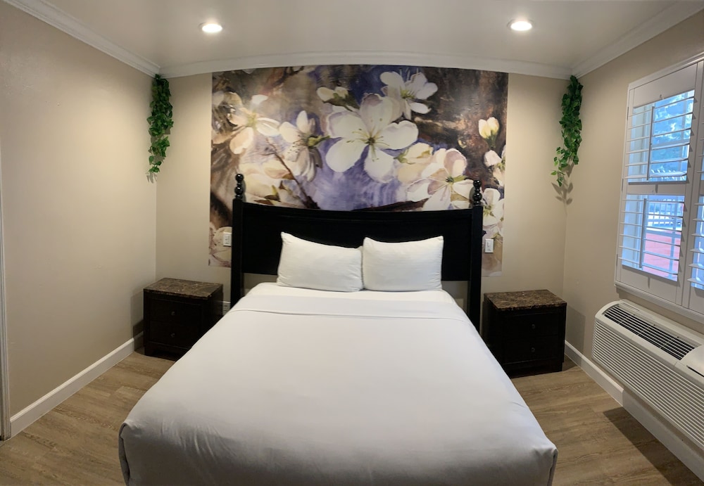 Standard Single Room, 1 Queen Bed, Accessible, Non Smoking photo 1