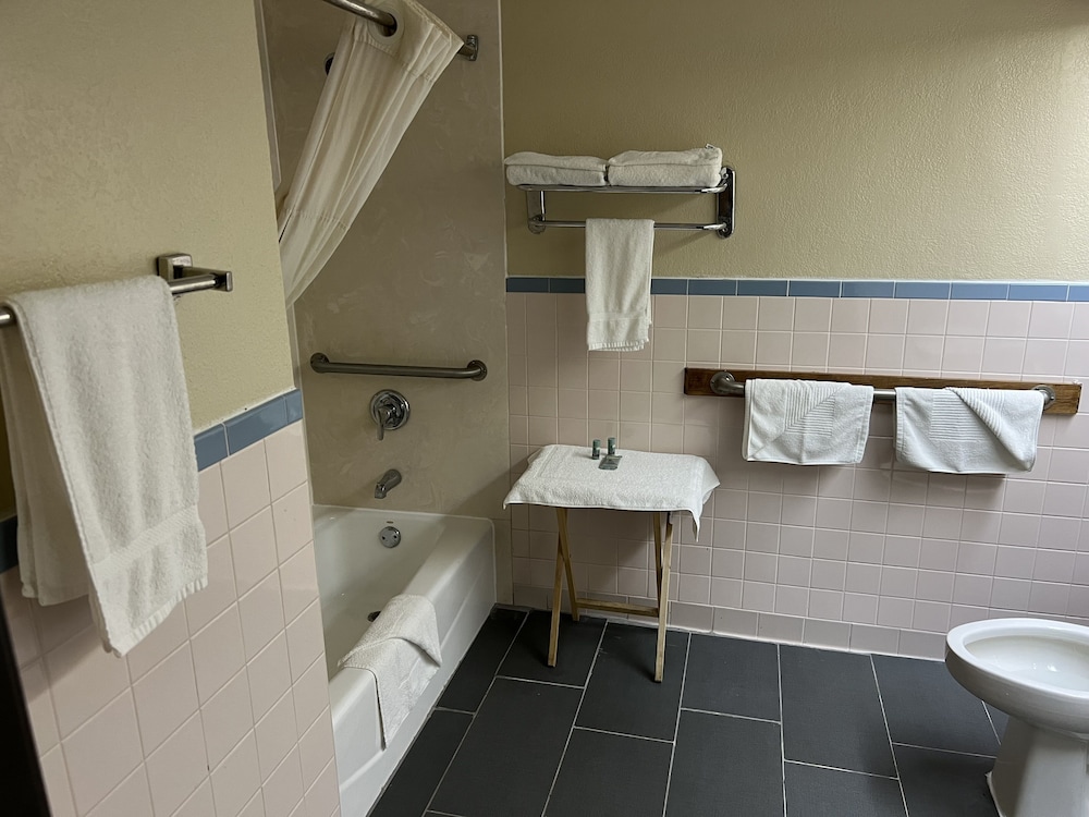Room, 1 King Bed, Accessible, Smoking - Photo 4