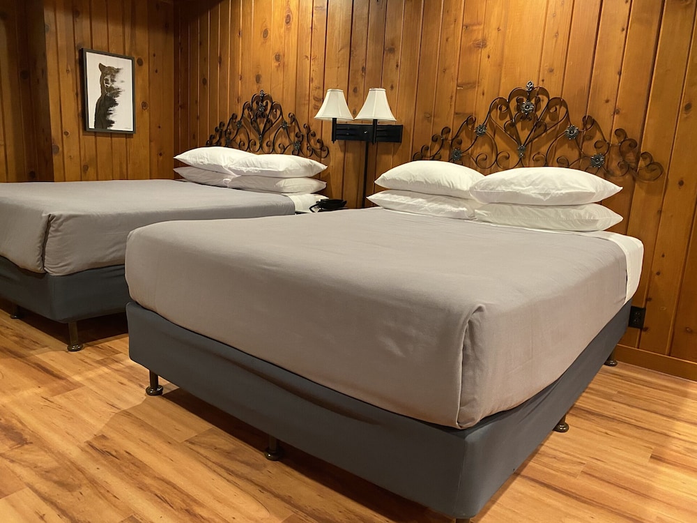 Room, 2 Queen Bed and 1 Single Bed photo 1