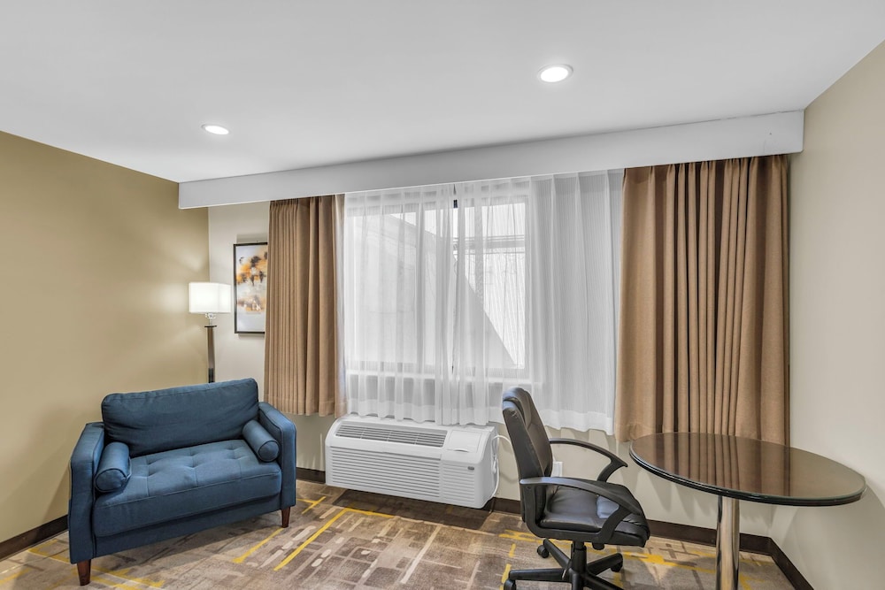 Comfort Single Room, 1 Queen Bed photo 3