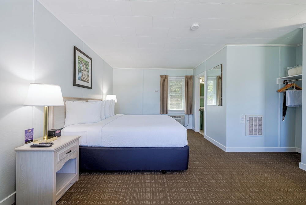 Non-Smoking, Standard 1 King Bed (Maximum 2 People) photo 2