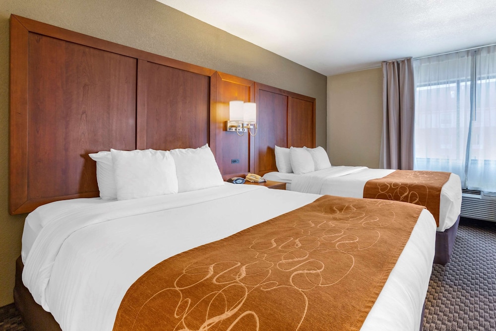 Suite - Photo 1