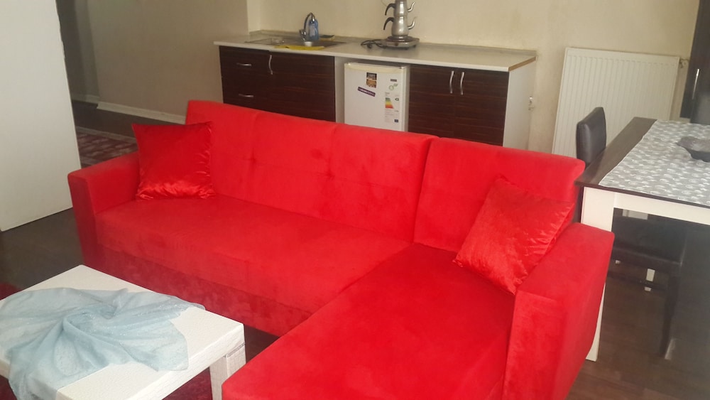 Apartment, 1 Bedroom photo 2
