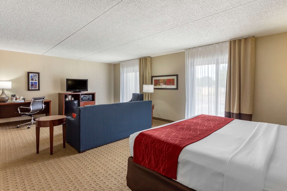 Standard Room, 1 King Bed with Sofa bed, Accessible, Non Smoking (Roll In Shower) - Photo 4
