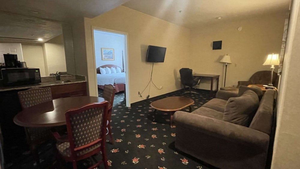Suite, 1 King Bed, Non Smoking, Kitchenette (with Sofabed) photo 2
