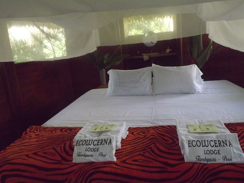 Deluxe Cabin, 1 Bedroom, River View, Beachfront photo 2