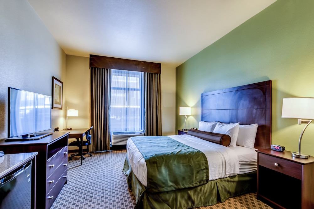 Room, 1 King Bed, Accessible Roll in Shower, Non Smoking photo 1