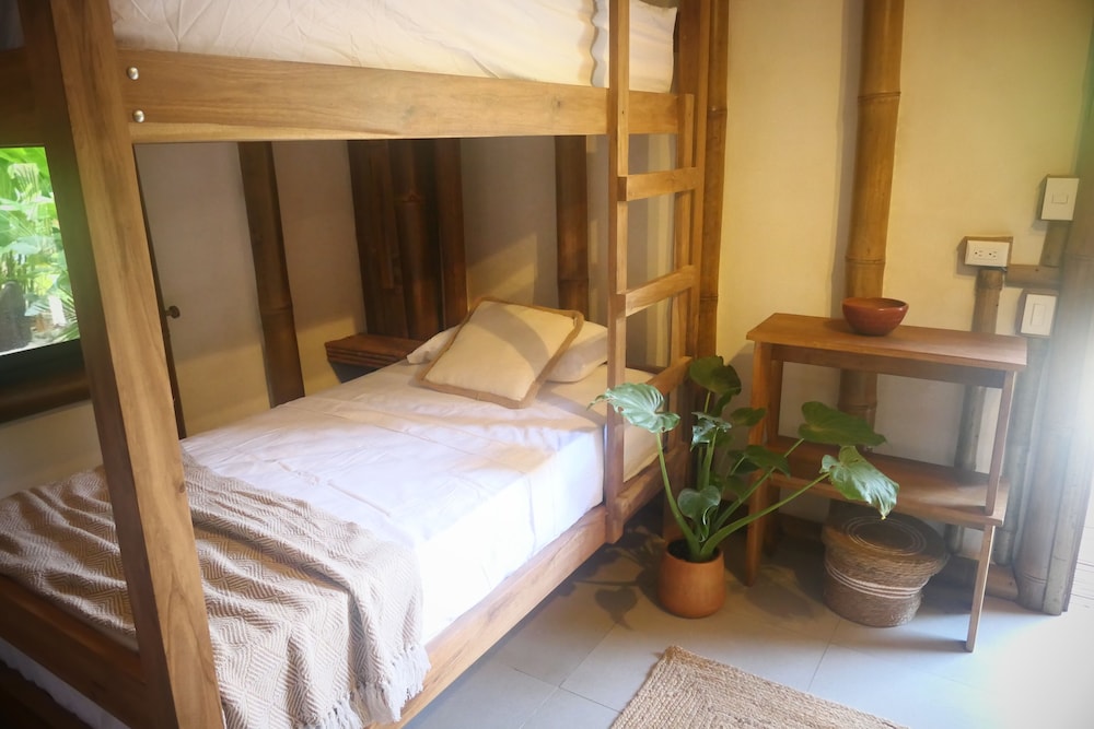 Standard Shared Dormitory photo 1