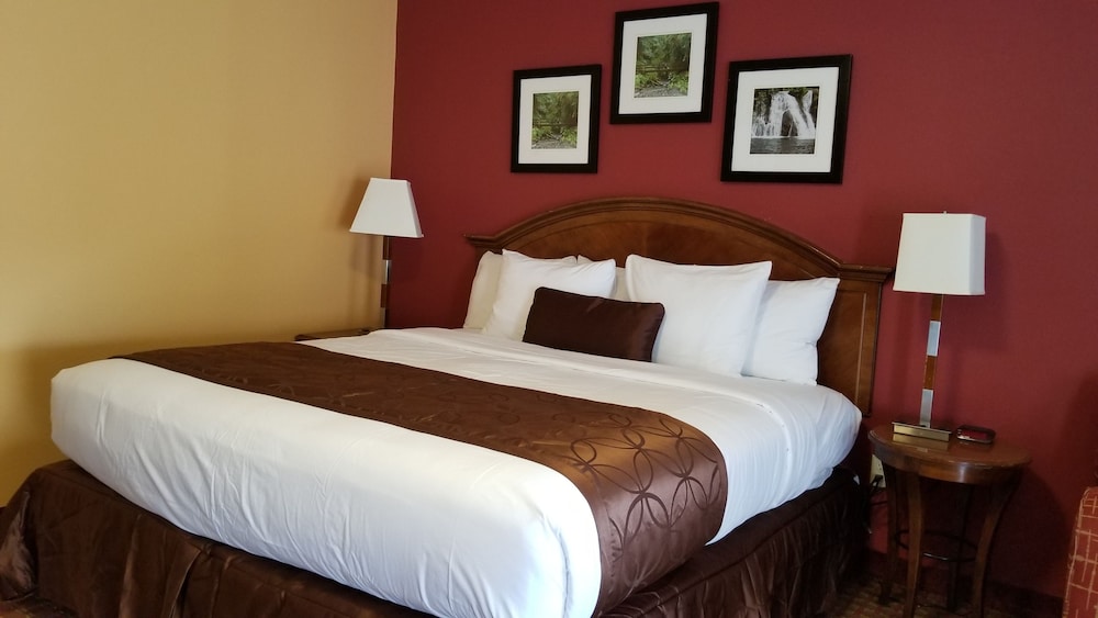 Deluxe Room, 1 King Bed, Refrigerator & Microwave photo 2